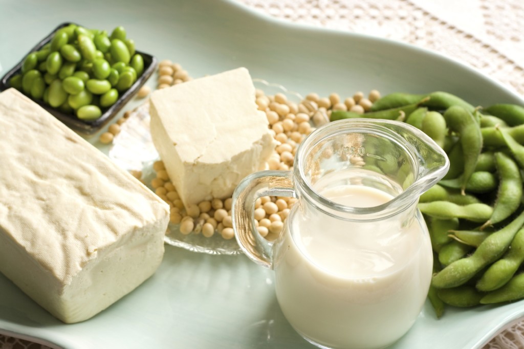 Tofu and Other Soy Products