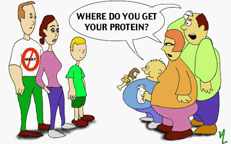 Veg Protein