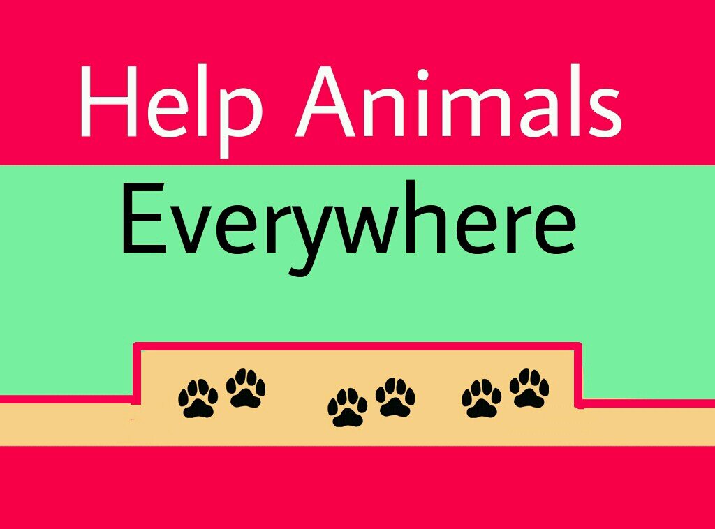Help Animals