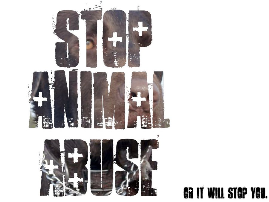 Stop Animal Abuse