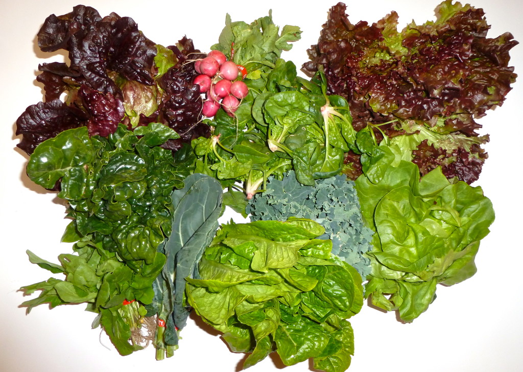 Spinach, Kale, and Other Leafy Greens