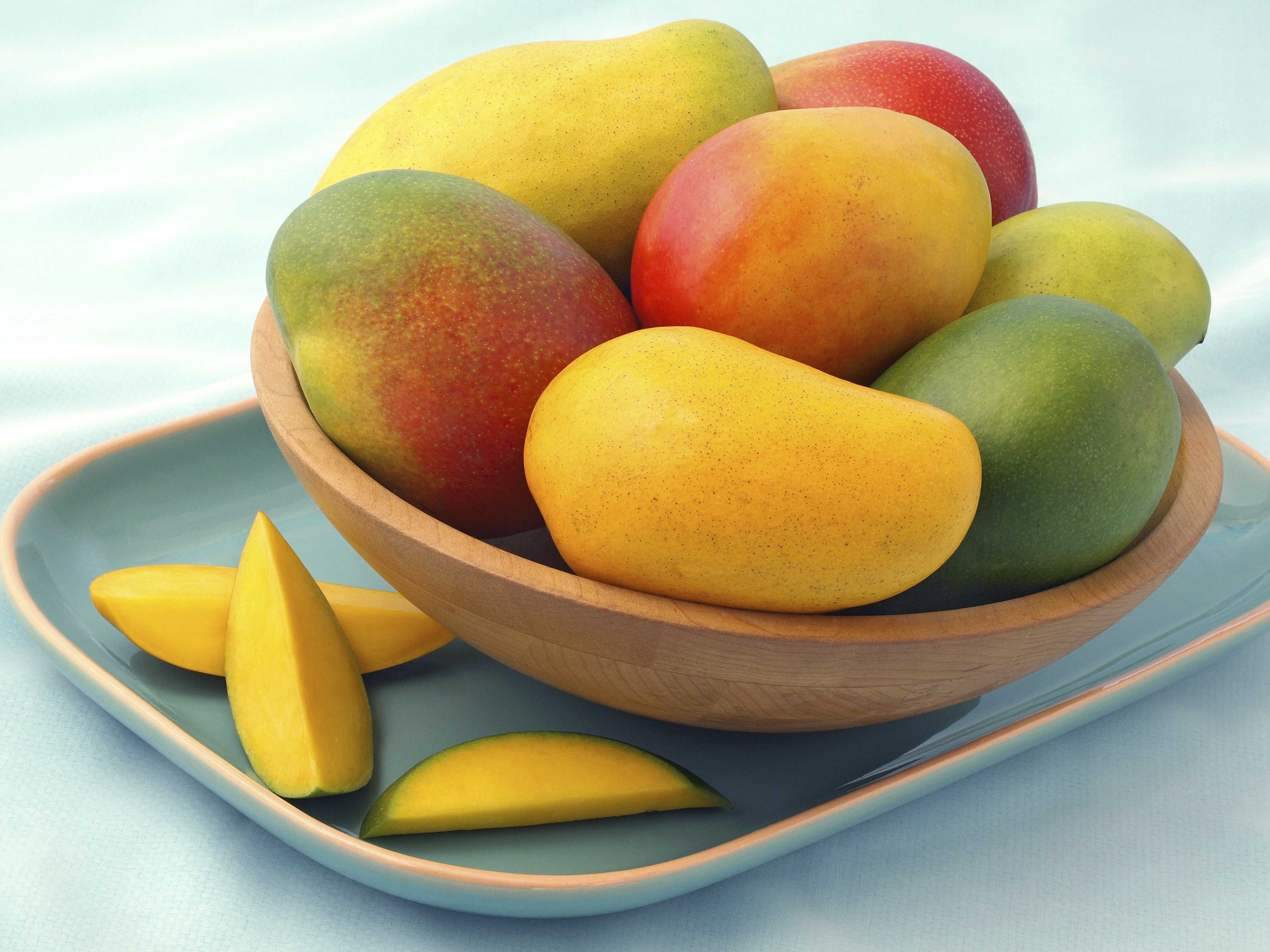 Host mango. Сорт манго Авис. Манго сорт Лангра. Плод манго. Манго в Индии.