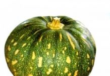 What Are The Benefits Of Pumpkin or Kaddu?